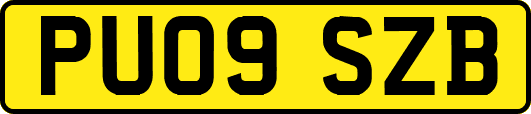 PU09SZB