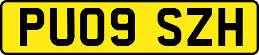 PU09SZH