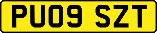 PU09SZT