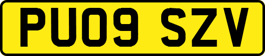 PU09SZV