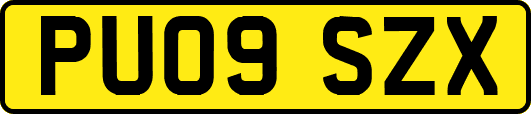 PU09SZX