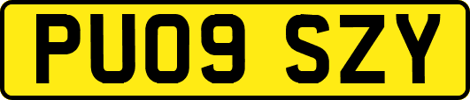 PU09SZY