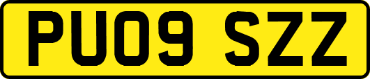 PU09SZZ