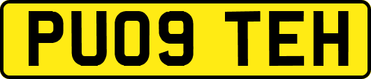 PU09TEH