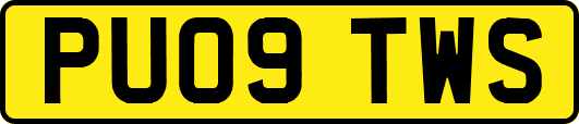PU09TWS