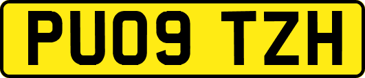 PU09TZH