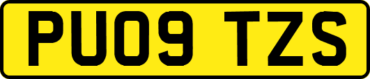 PU09TZS