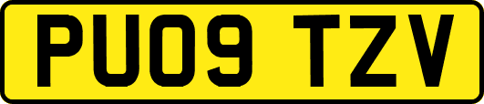 PU09TZV