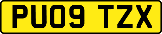 PU09TZX