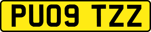 PU09TZZ