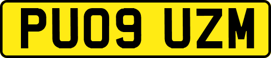 PU09UZM