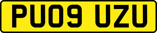 PU09UZU