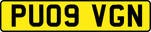 PU09VGN