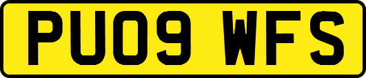 PU09WFS