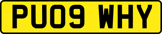 PU09WHY