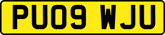 PU09WJU