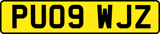 PU09WJZ