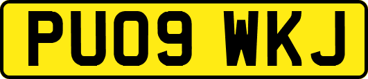 PU09WKJ