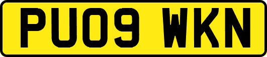 PU09WKN