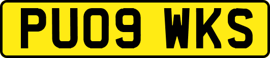 PU09WKS