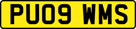 PU09WMS