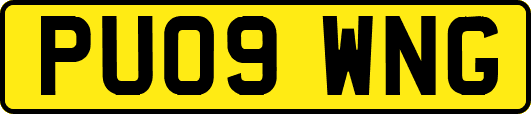 PU09WNG