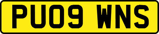 PU09WNS