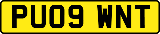 PU09WNT