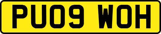 PU09WOH