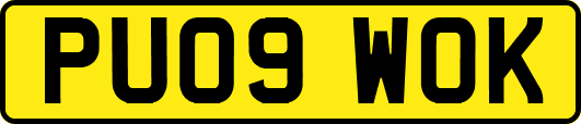 PU09WOK