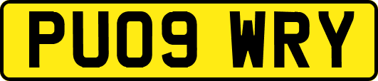 PU09WRY