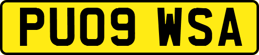 PU09WSA