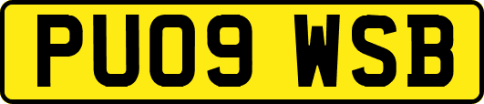 PU09WSB