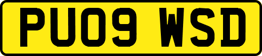 PU09WSD