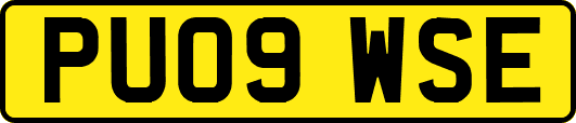 PU09WSE