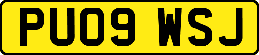 PU09WSJ