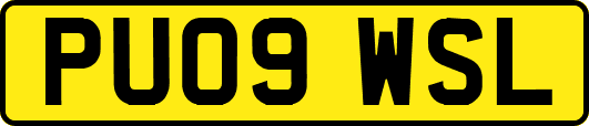 PU09WSL