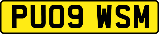 PU09WSM