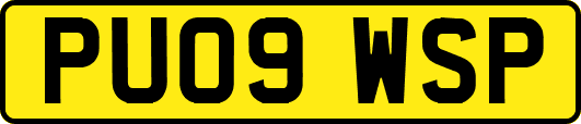 PU09WSP