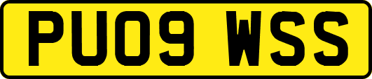 PU09WSS
