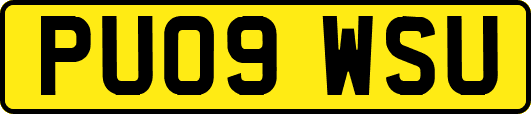 PU09WSU