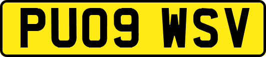 PU09WSV