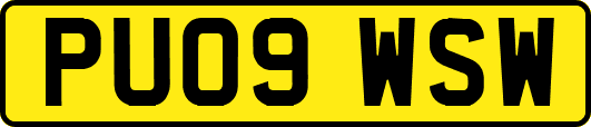 PU09WSW