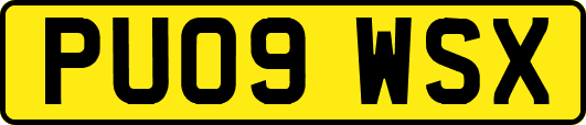 PU09WSX