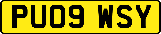 PU09WSY