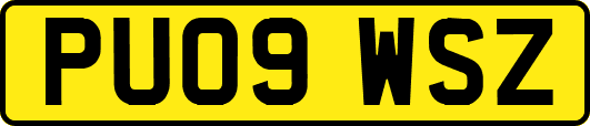 PU09WSZ