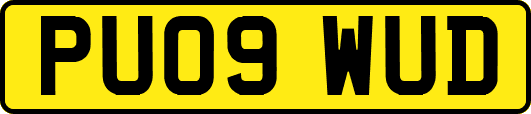 PU09WUD