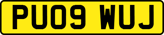 PU09WUJ