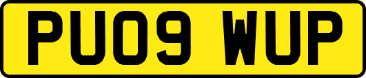 PU09WUP
