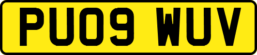 PU09WUV